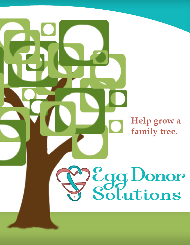 Front of a Story Brochure for Egg Donor Solutions